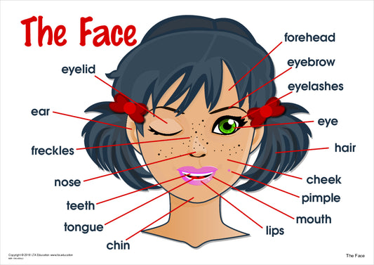 'The Face' Chart
