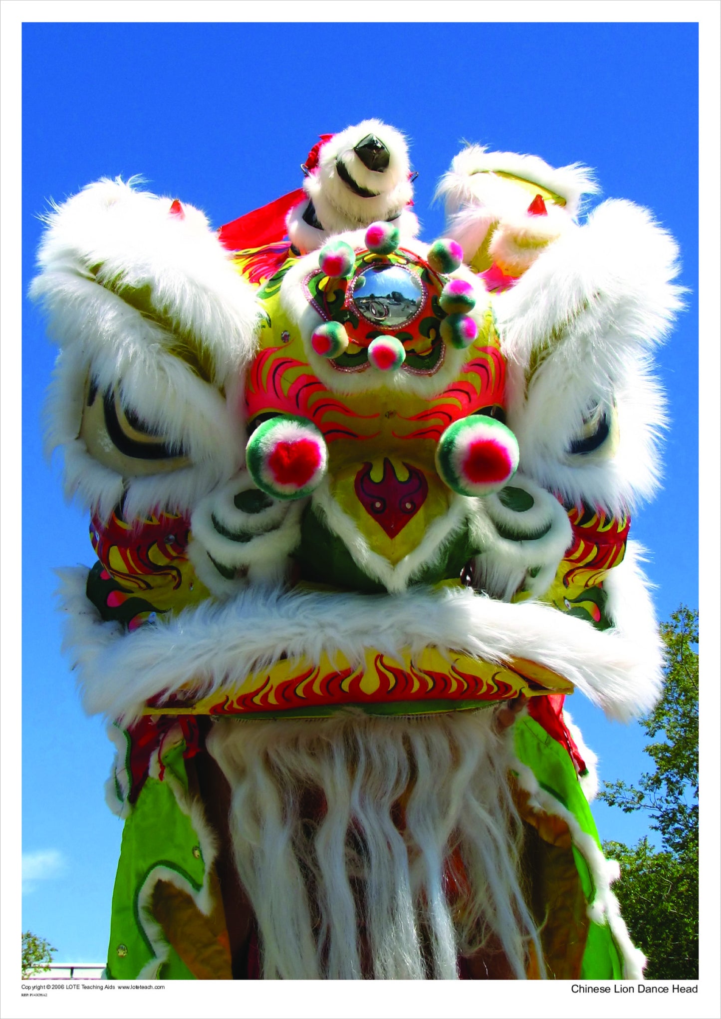 Chinese Lion Dance Head