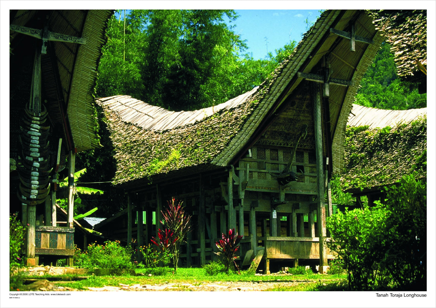 Jigsaw: Tanah Toraja Longhouse, Indonesia