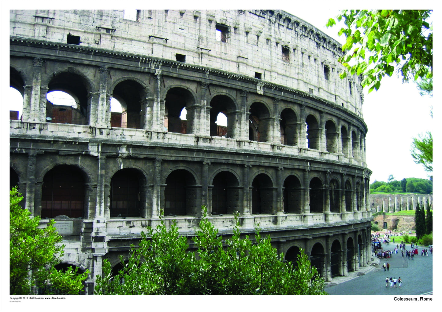 Colosseum, Rome