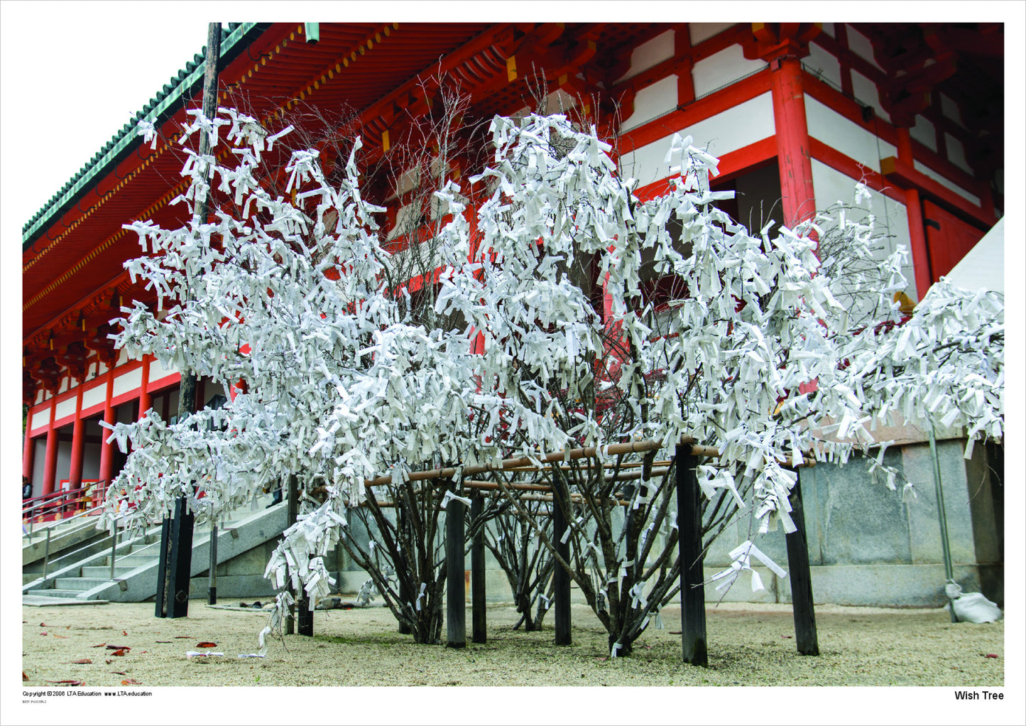 Wish tree