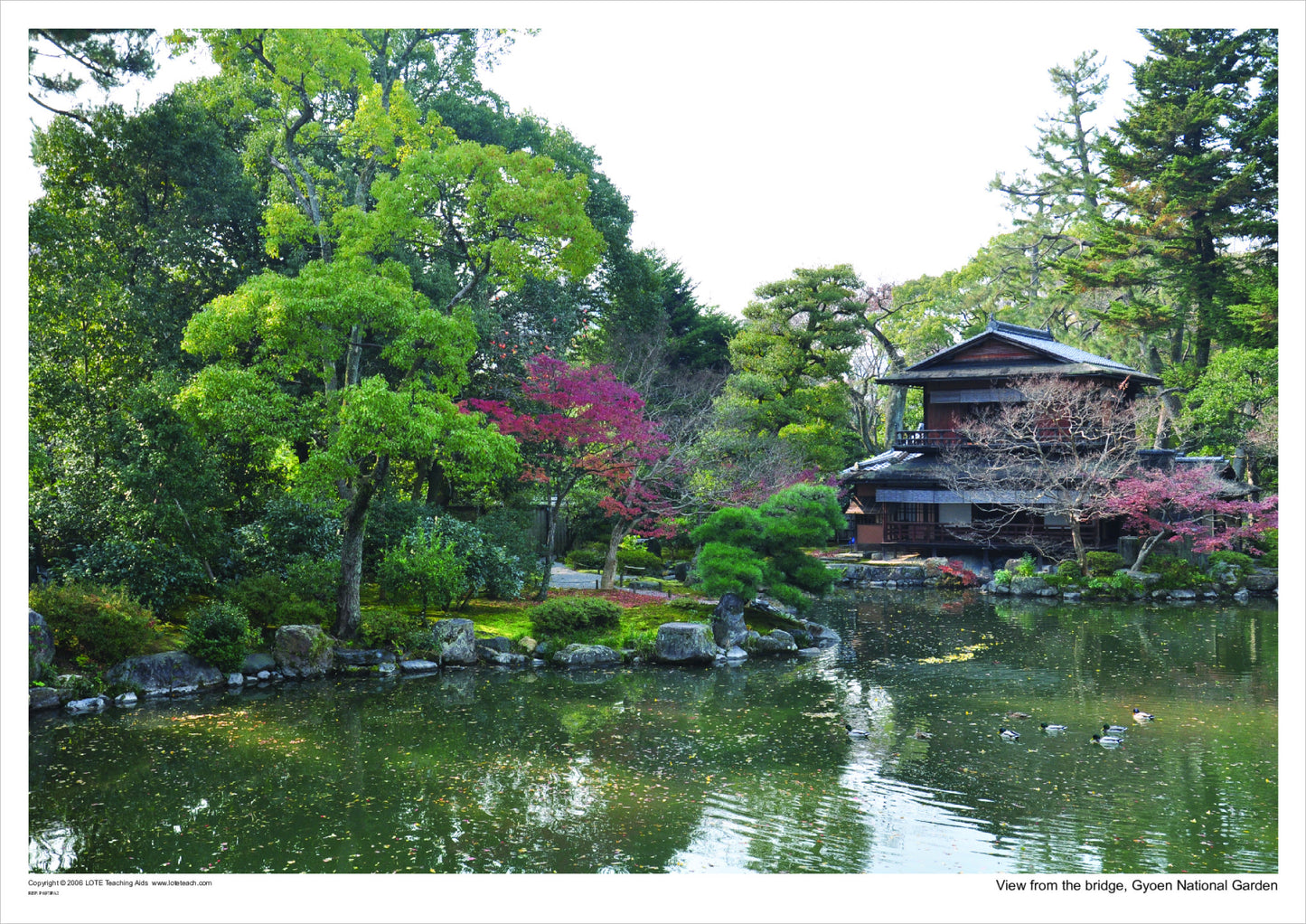 View from the bridge, Gyoen National Garden
