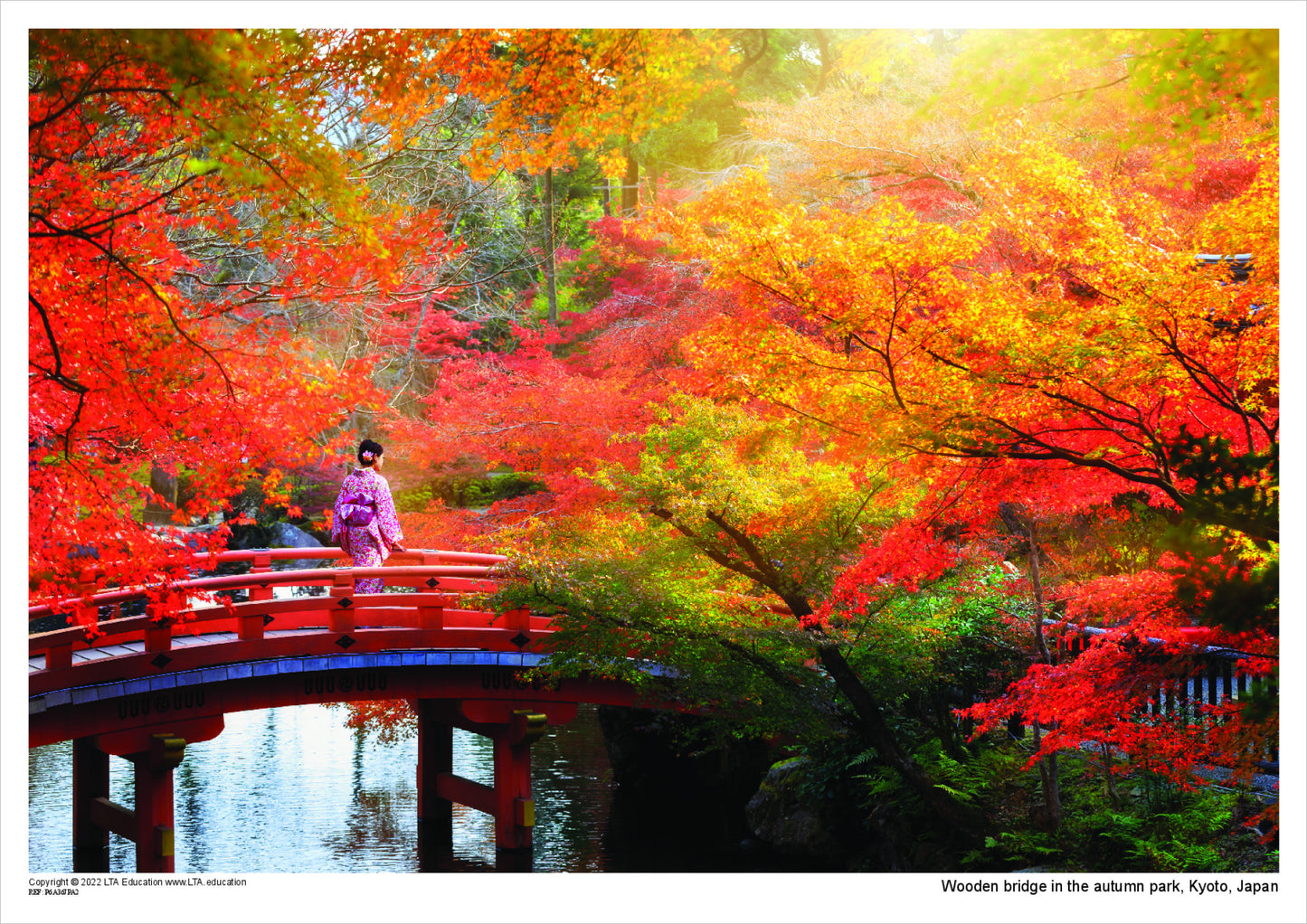 Wooden bridge in the autumn park, Kyoto, Japan