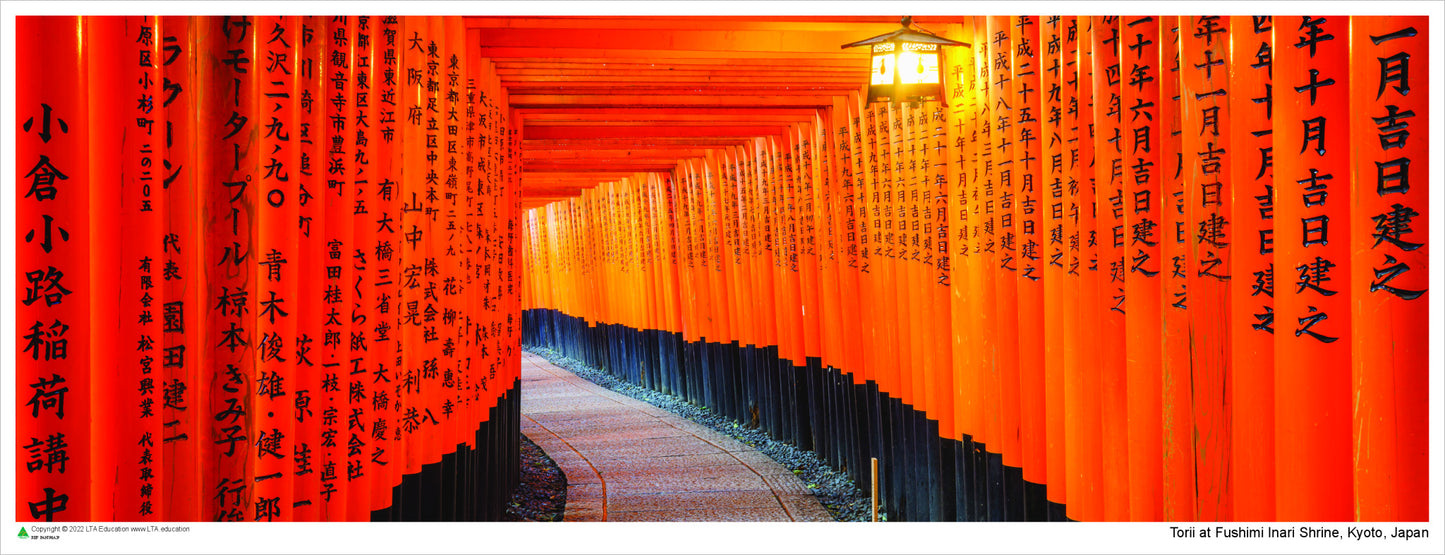 Torii at Fushimi Inari Shrine, Kyoto, Japan