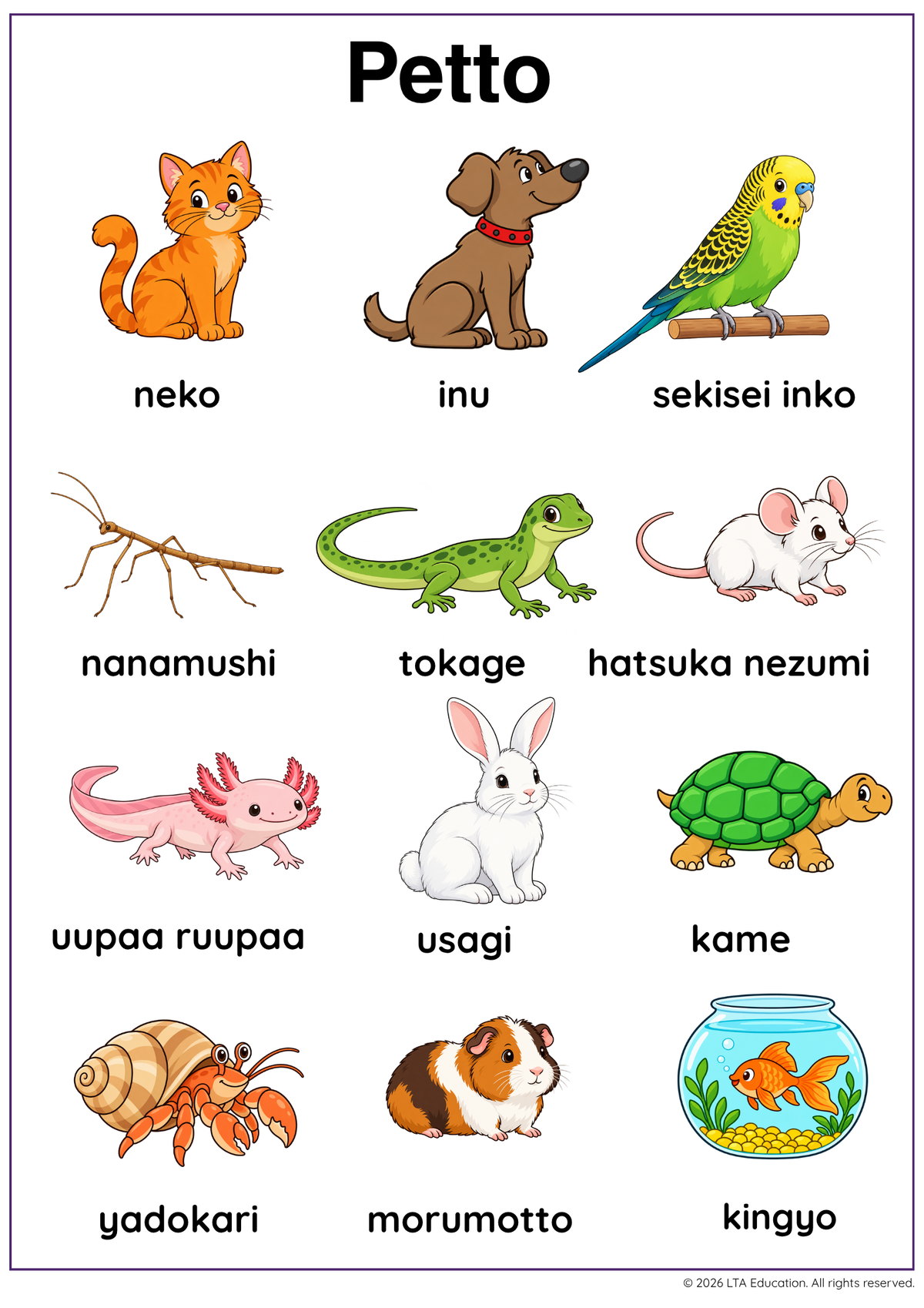 Pets Vocabulary Chart