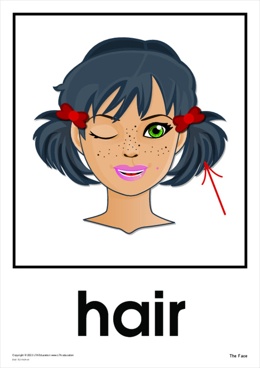 'The Face' Theme Cards