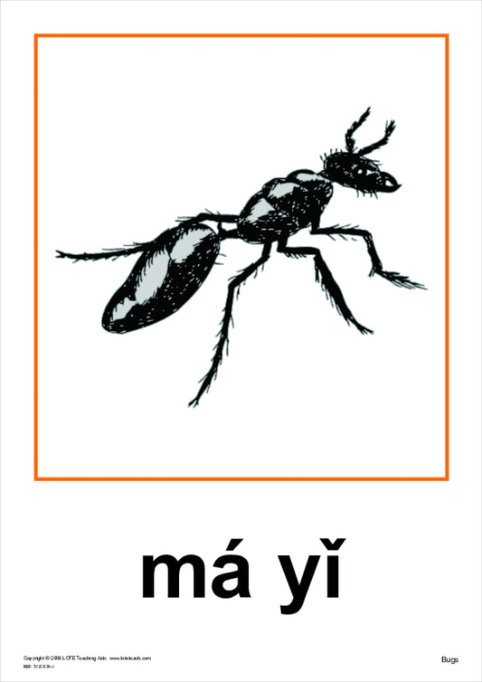 Bugs Theme Cards