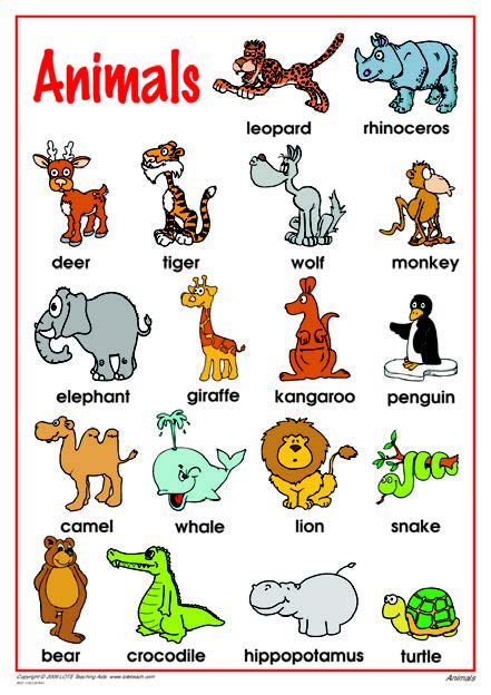 Animals Chart