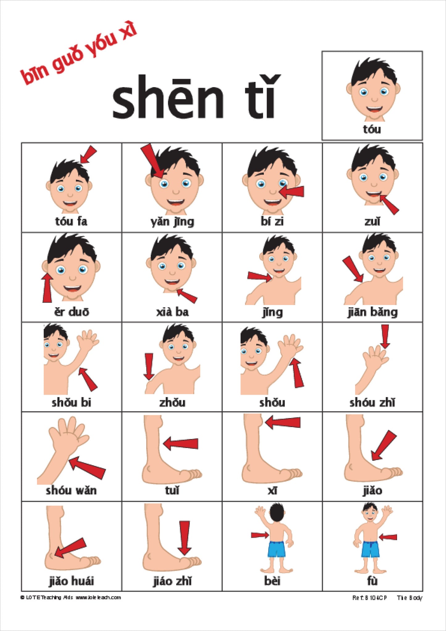 'The Body' Bingo Game