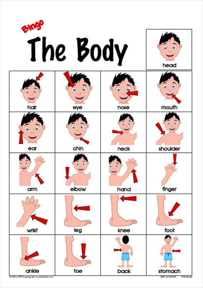 The Body Bingo Game