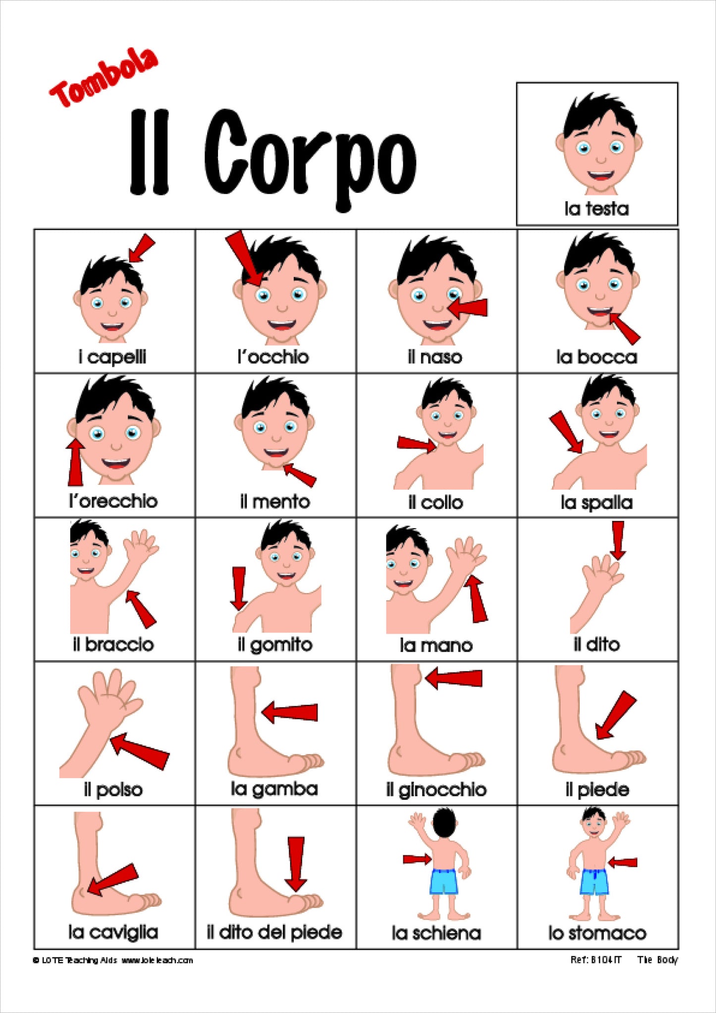 'The Body' Bingo Game