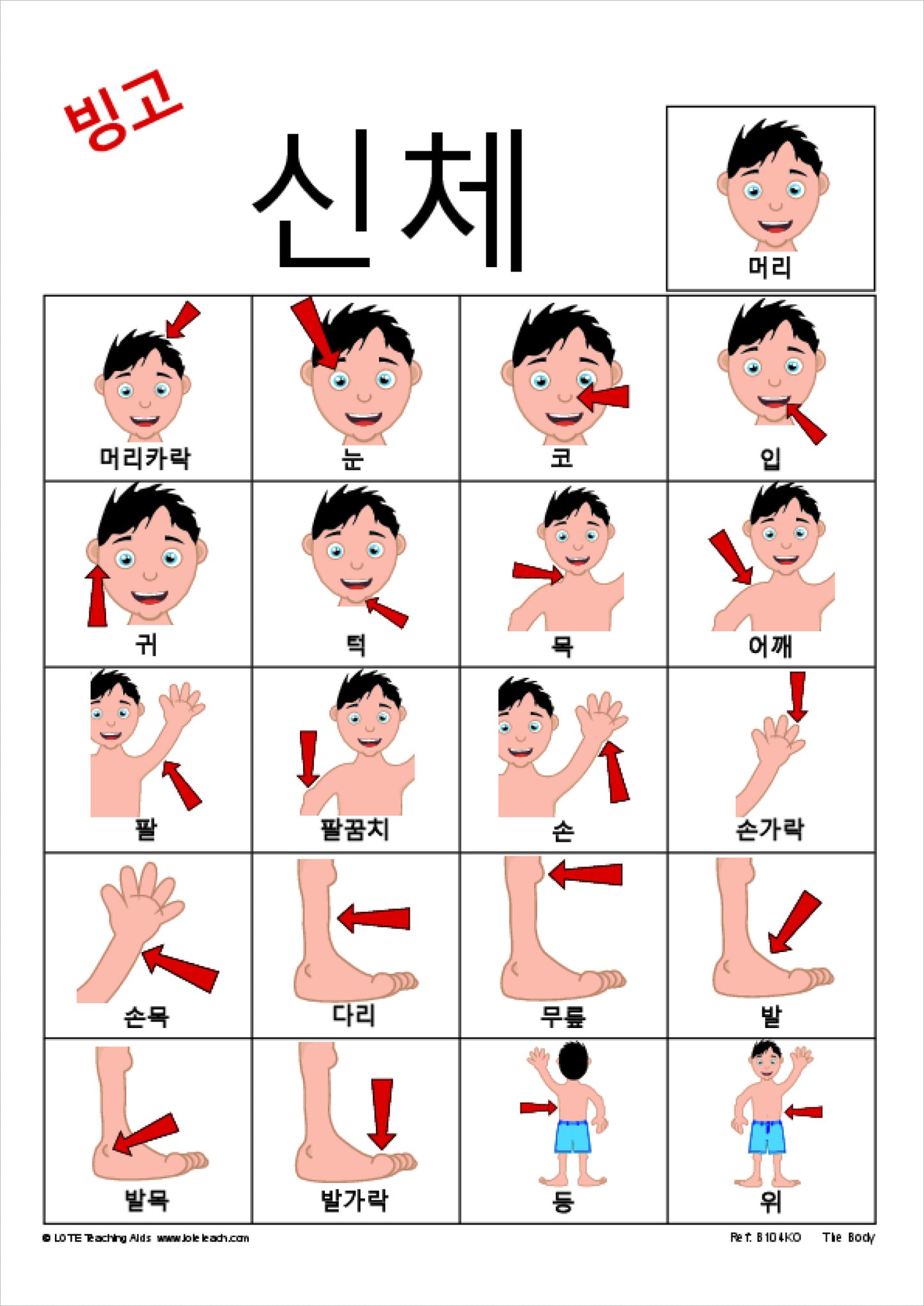 'The Body' Bingo Game