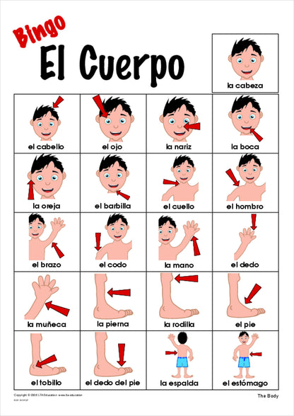 The Body Bingo Game