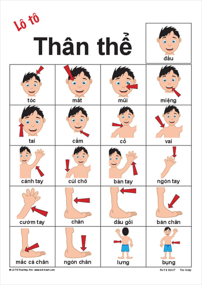 The Body Bingo Game