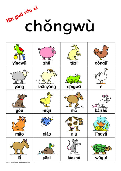 Pets Bingo Game