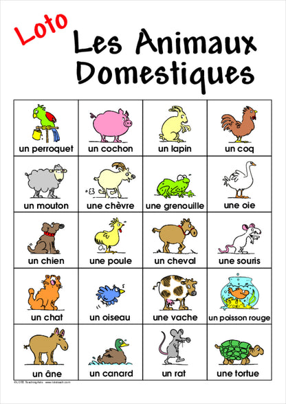 Pets Bingo Game