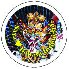 Badge 13