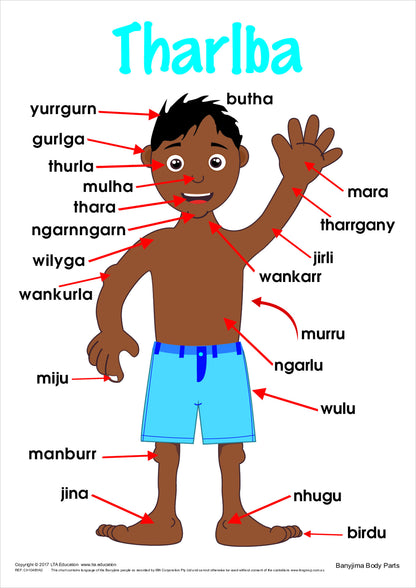 The Body Vocabulary Chart