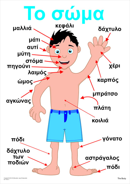 The Body Vocabulary Chart