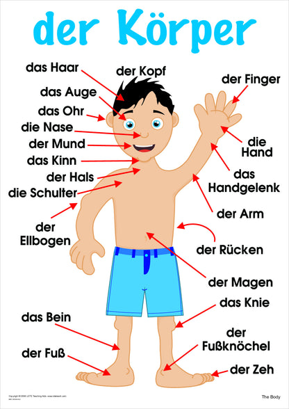 The Body Vocabulary Chart