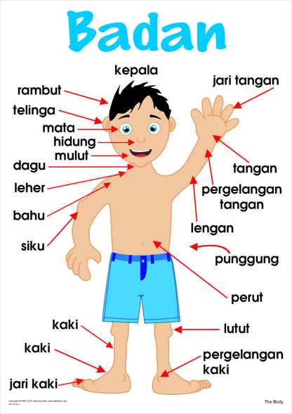 The Body Vocabulary Chart