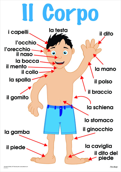 The Body Vocabulary Chart