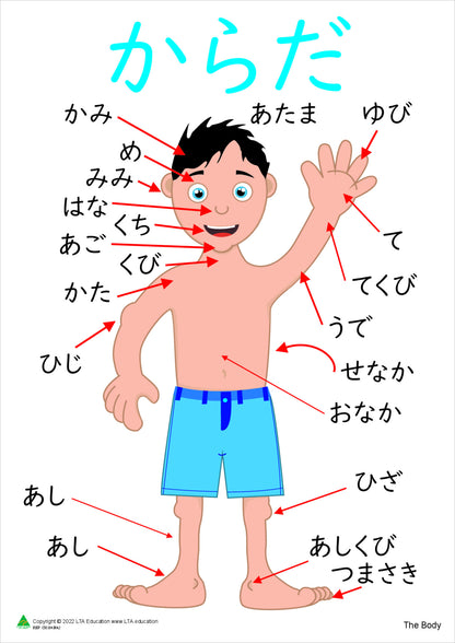The Body Vocabulary Chart