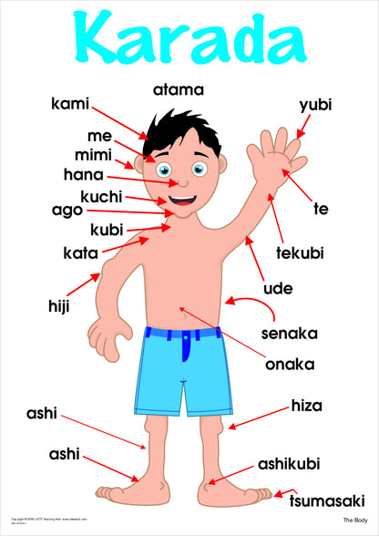 The Body Vocabulary Chart