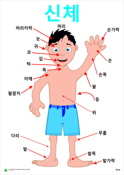 The Body Vocabulary Chart
