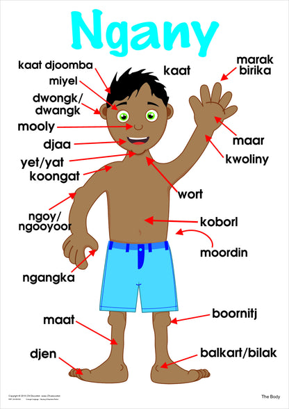 The Body Vocabulary Chart
