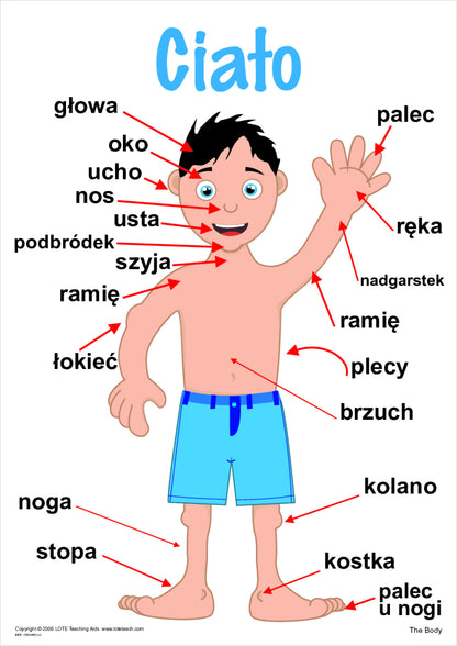 The Body Vocabulary Chart