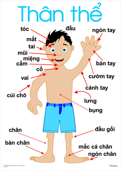 The Body Vocabulary Chart