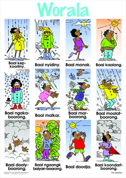 The Weather Vocabulary Chart