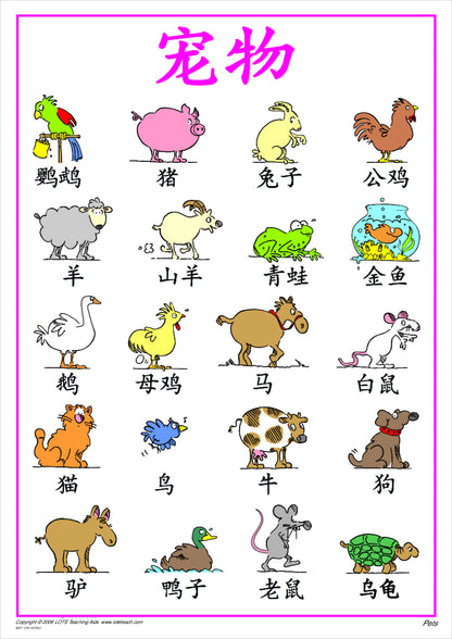 Pets Vocabulary Chart