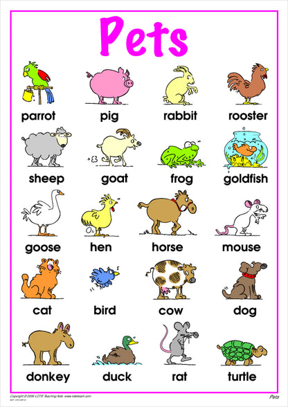 Pets Vocabulary Chart