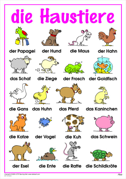 Pets Vocabulary Chart