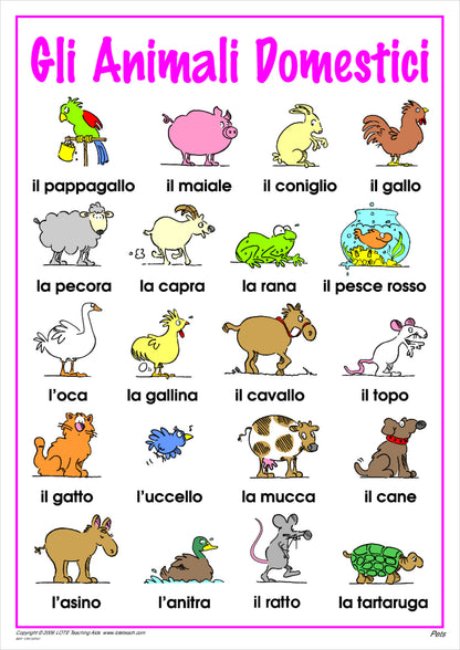 Pets Vocabulary Chart