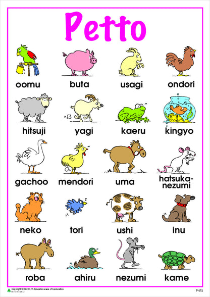 Pets Vocabulary Chart