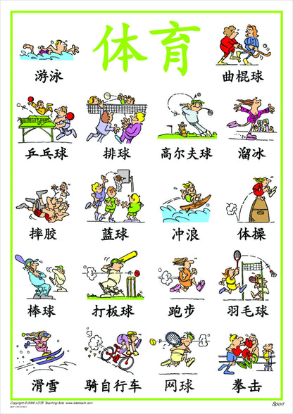 Sport Vocabulary Chart