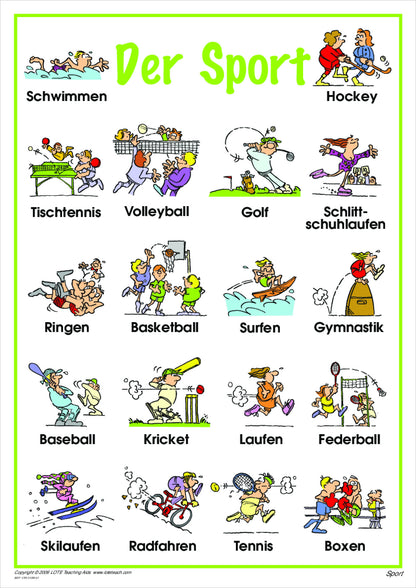 Sport Vocabulary Chart