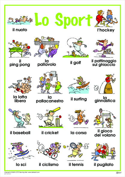 Sport Vocabulary Chart