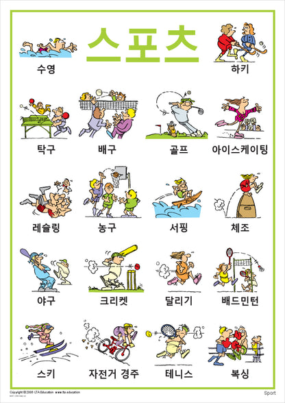 Sport Vocabulary Chart