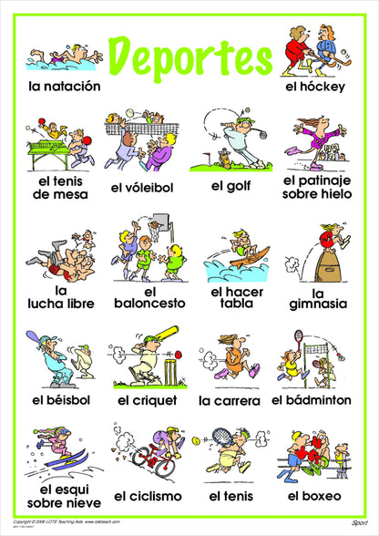 Sport Vocabulary Chart