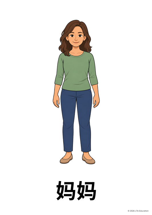 The Family Vocabulary Cards