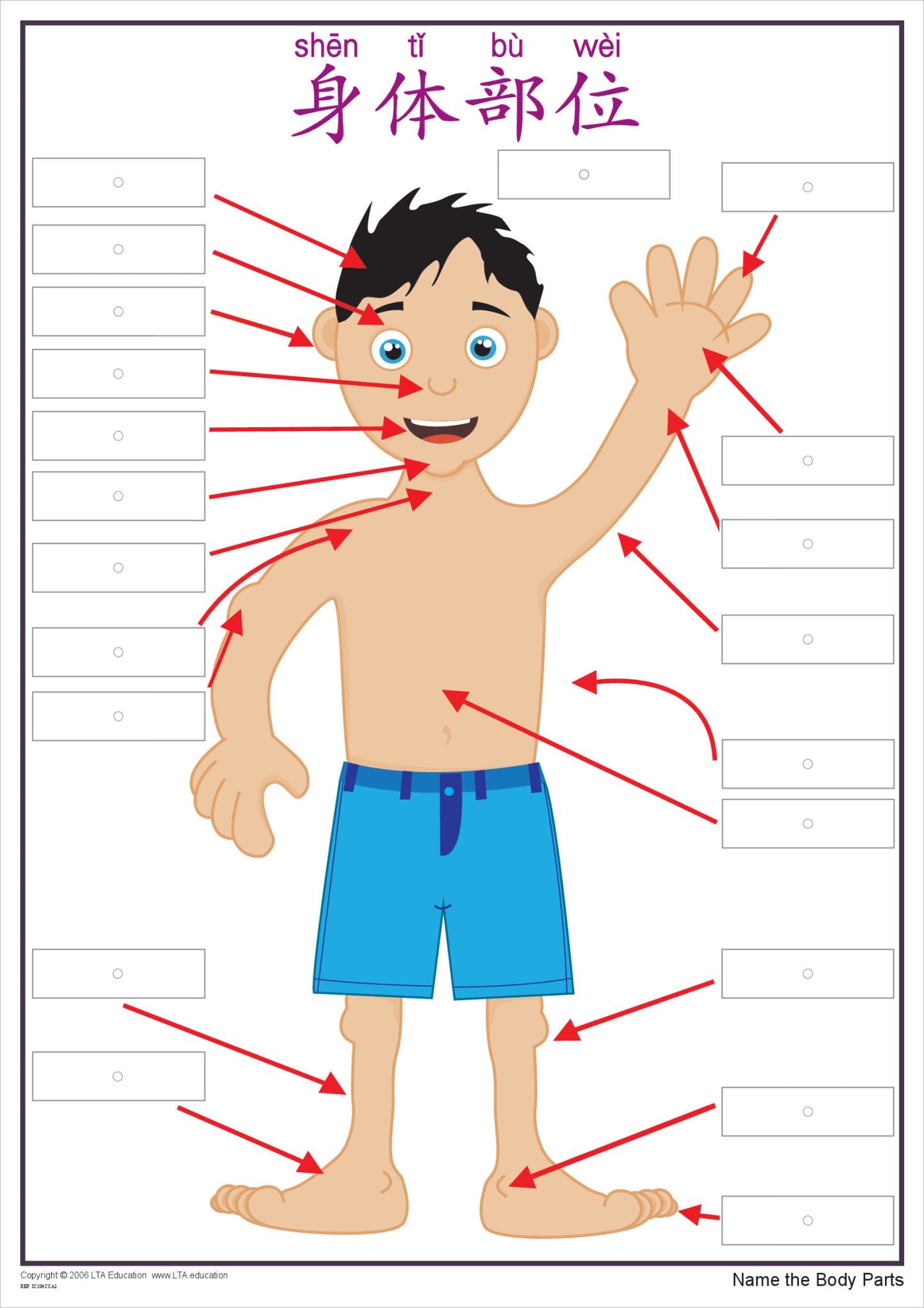 'The Body' Interactive Chart