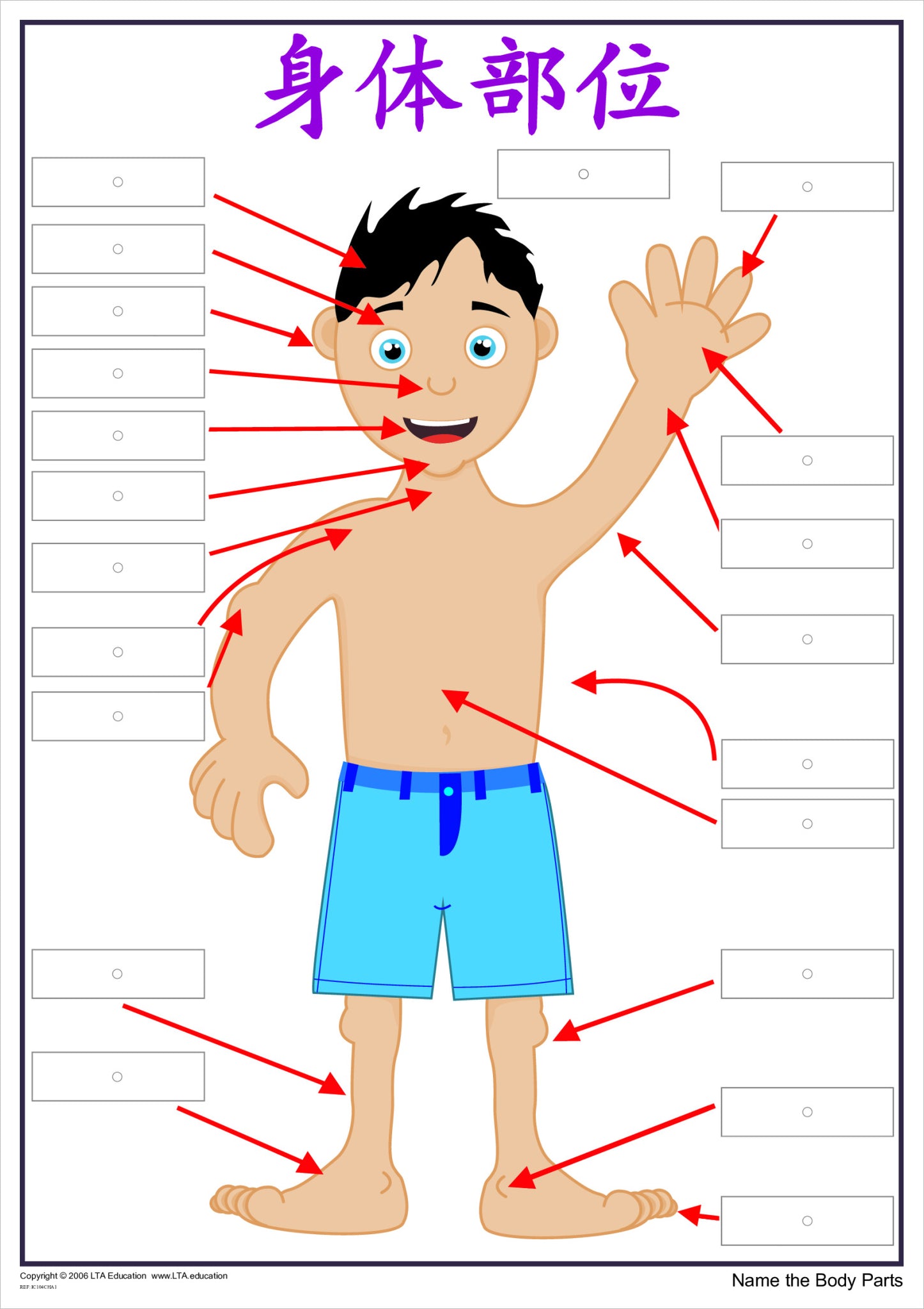 'The Body' Interactive Chart