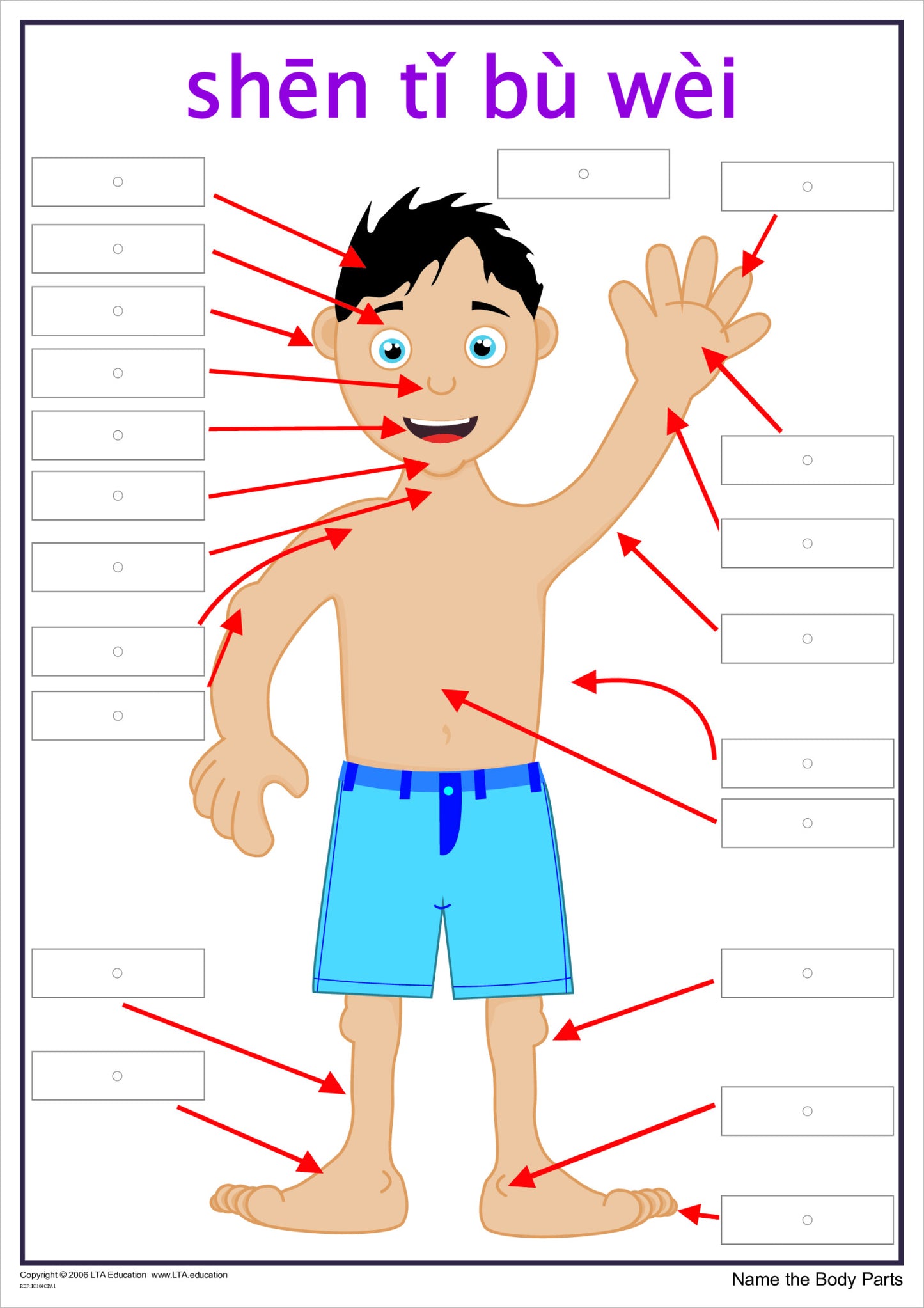 'The Body' Interactive Chart