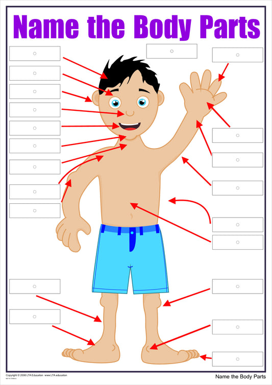 'The Body' Interactive Chart