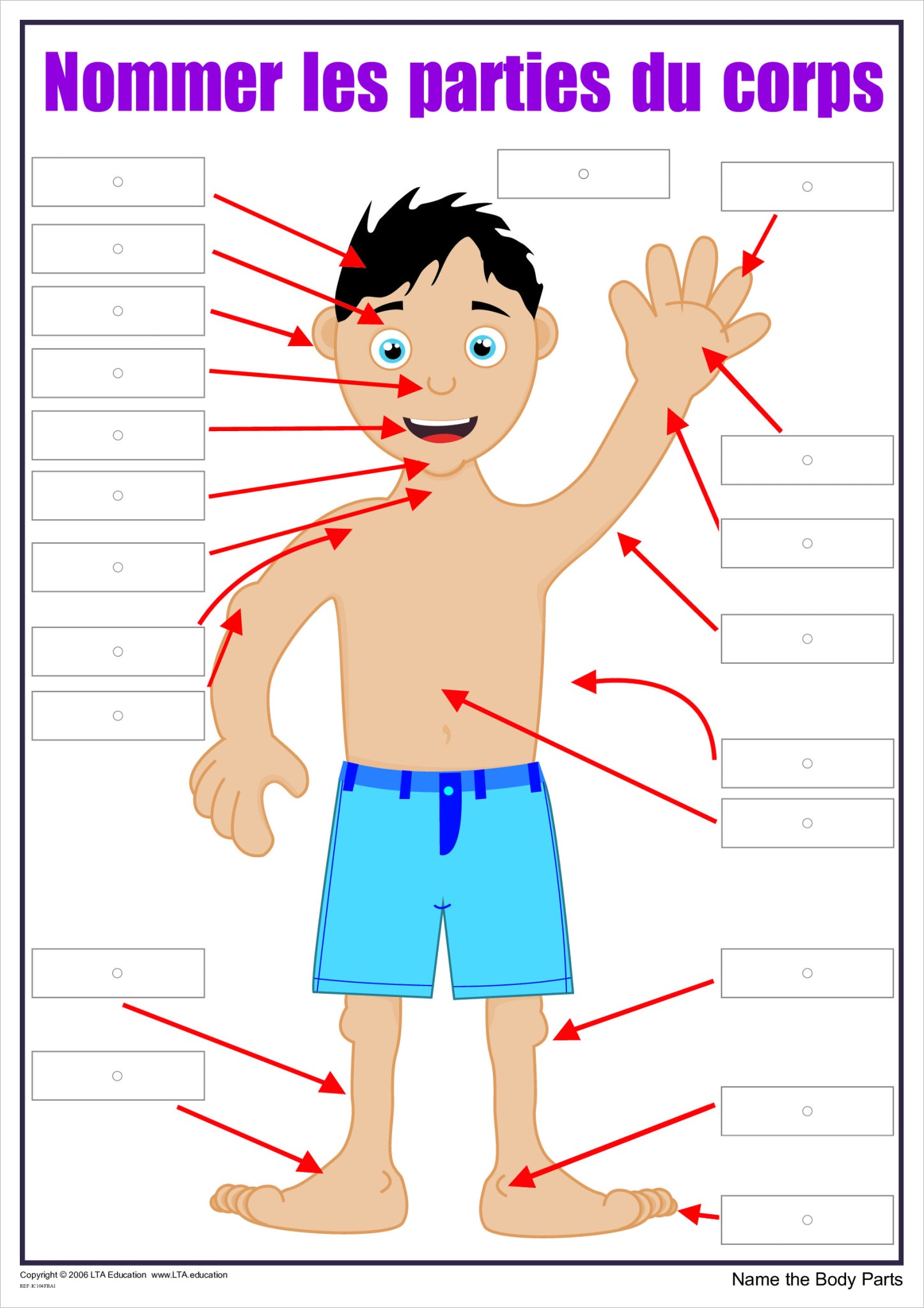 'The Body' Interactive Chart