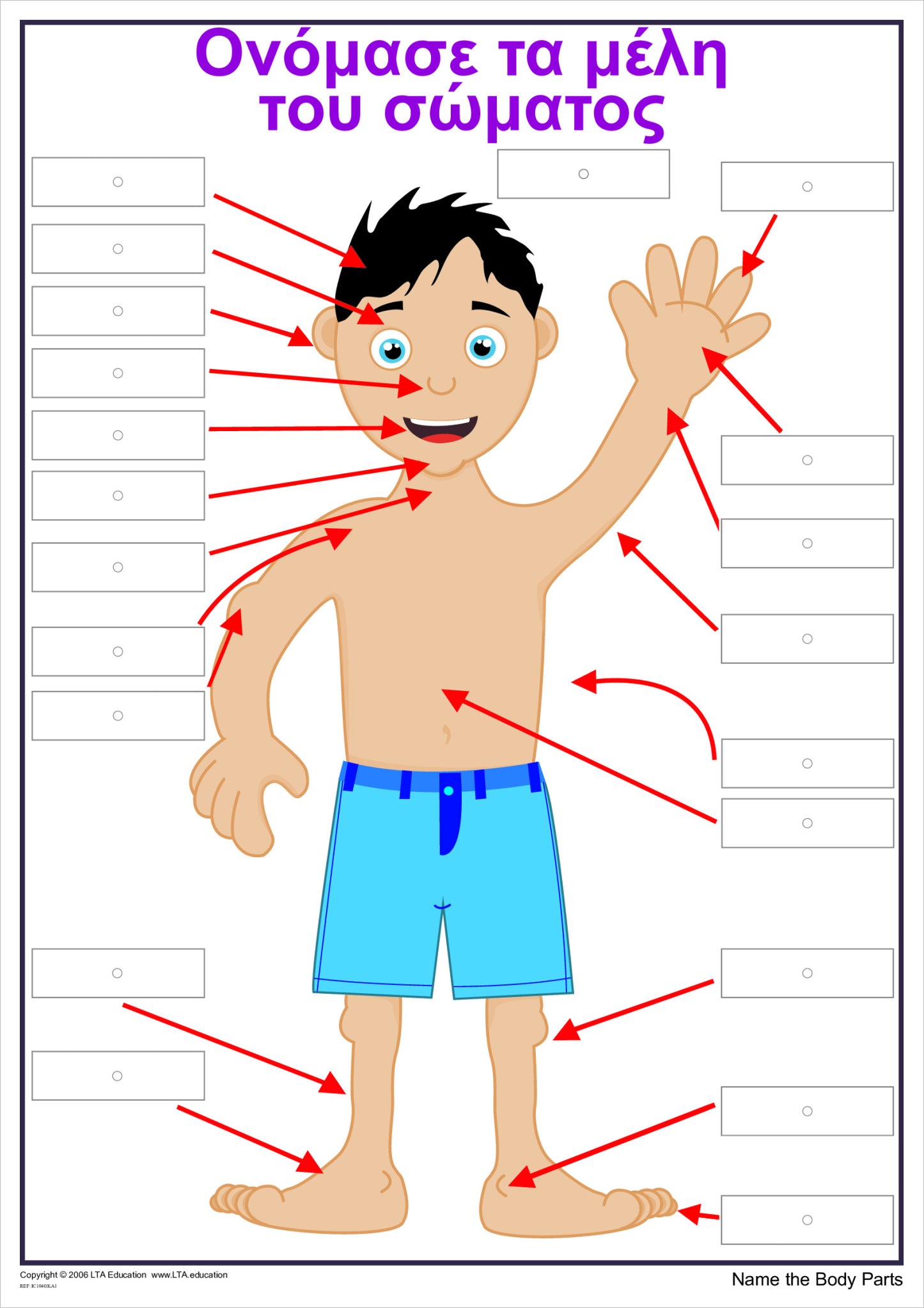 'The Body' Interactive Chart